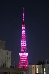 東京タワーピンク−１